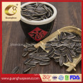 Hot Sales New Crop Sunflower Seeds From Shandong Guanghua